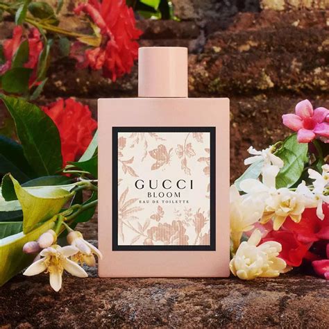 gucci bloom fragranza|Gucci Bloom fragrantica.